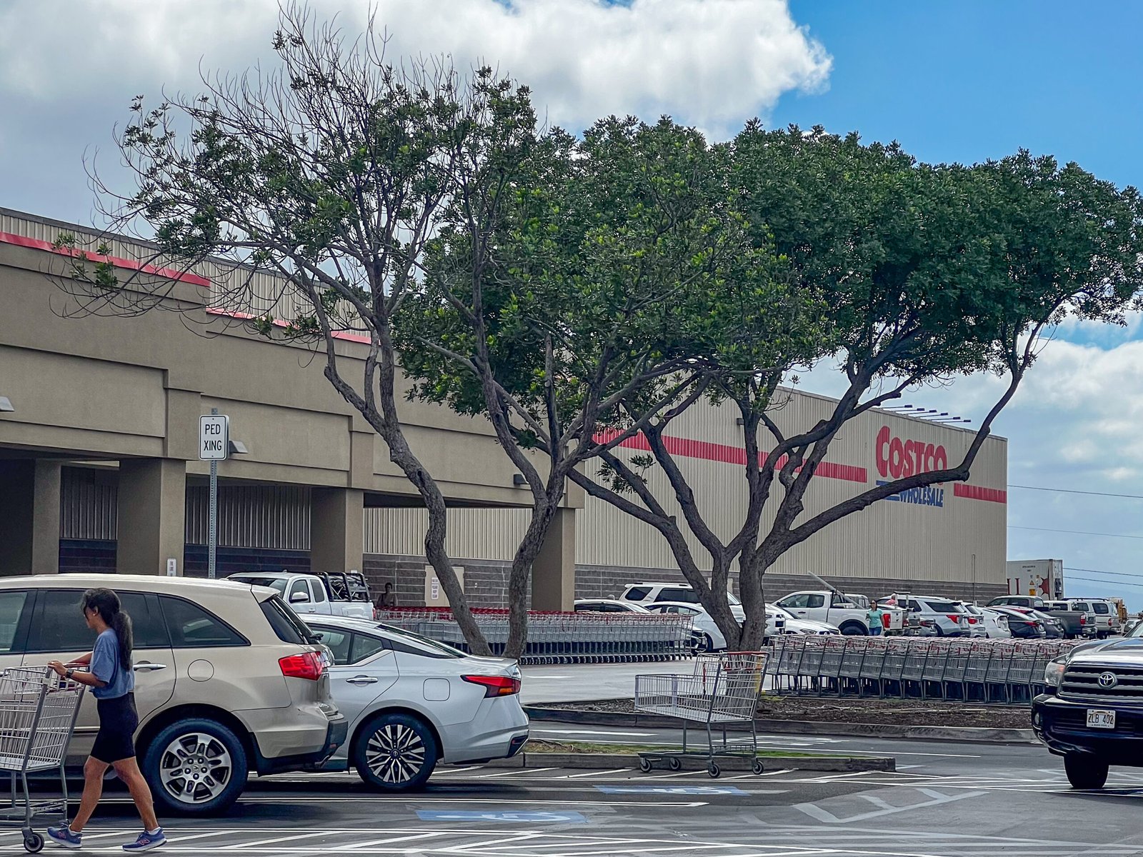 The Kona Costco